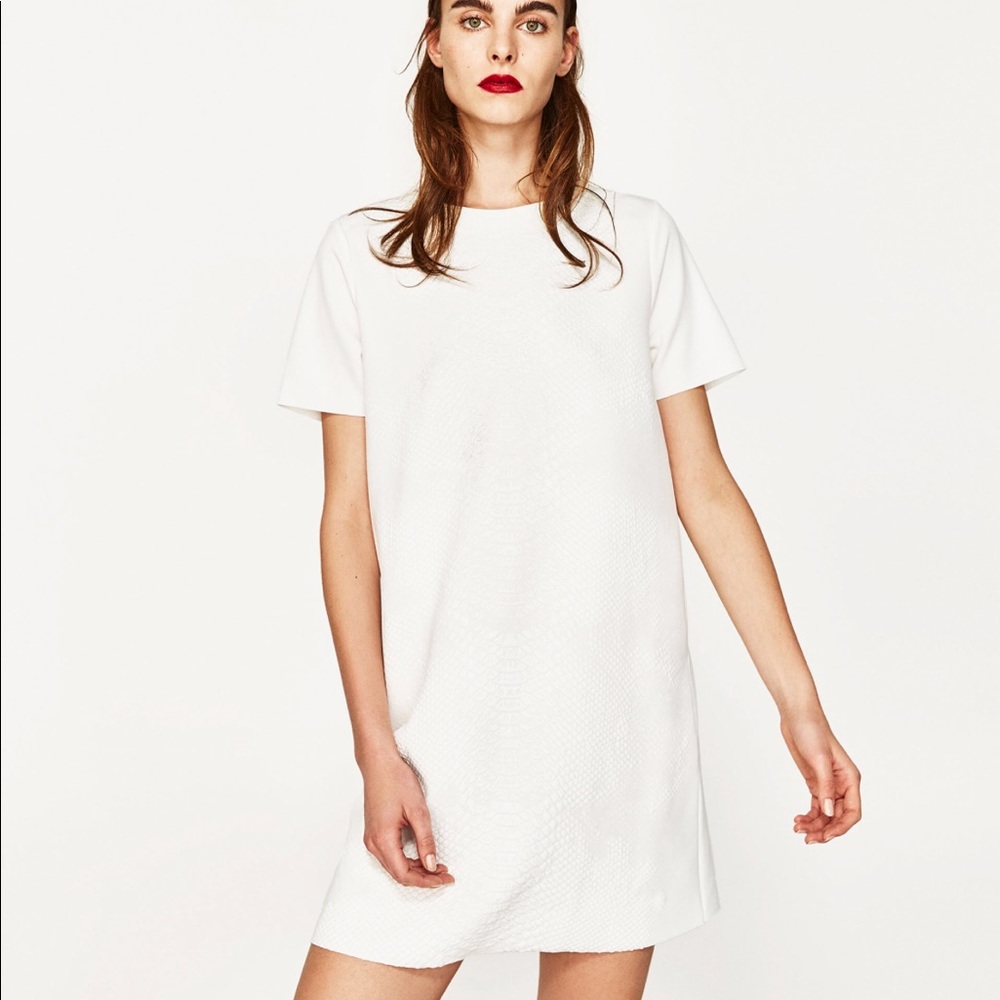 Zara printed rubberized dress
